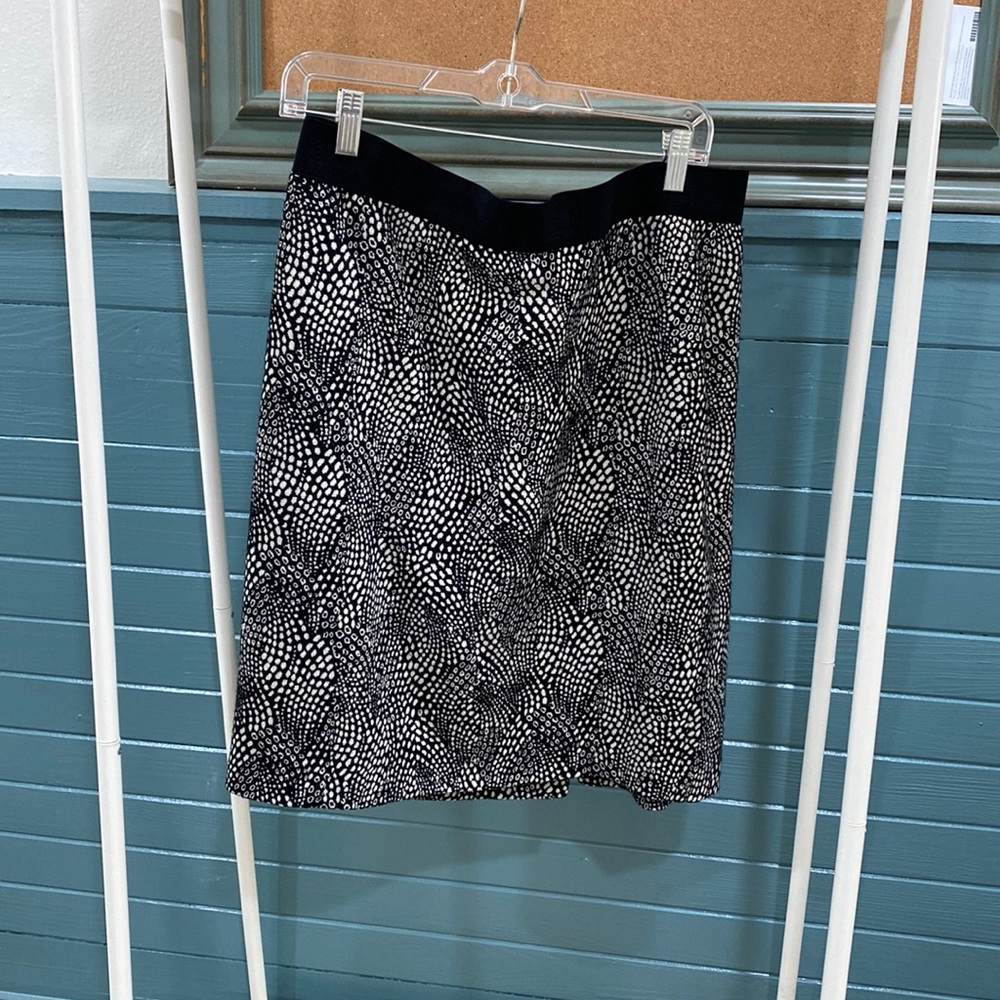 Ann Taylor Pencil Skirt